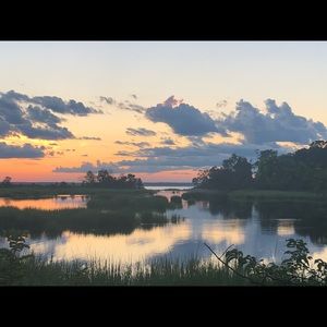 Meet your Posher, Angelina